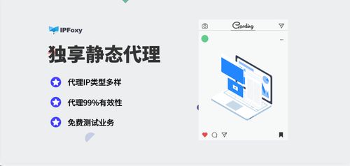独享静态代理IP 解锁海外市场调研精准洞察的商务利器