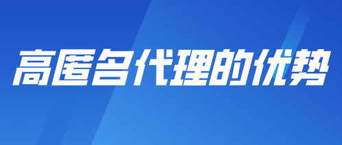 高匿名代理IP 多场景网络操作的新引擎与商务代理服务的革新力量